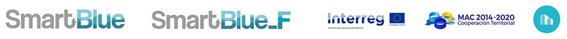 Pie-SmartBlue-F-ES-PT